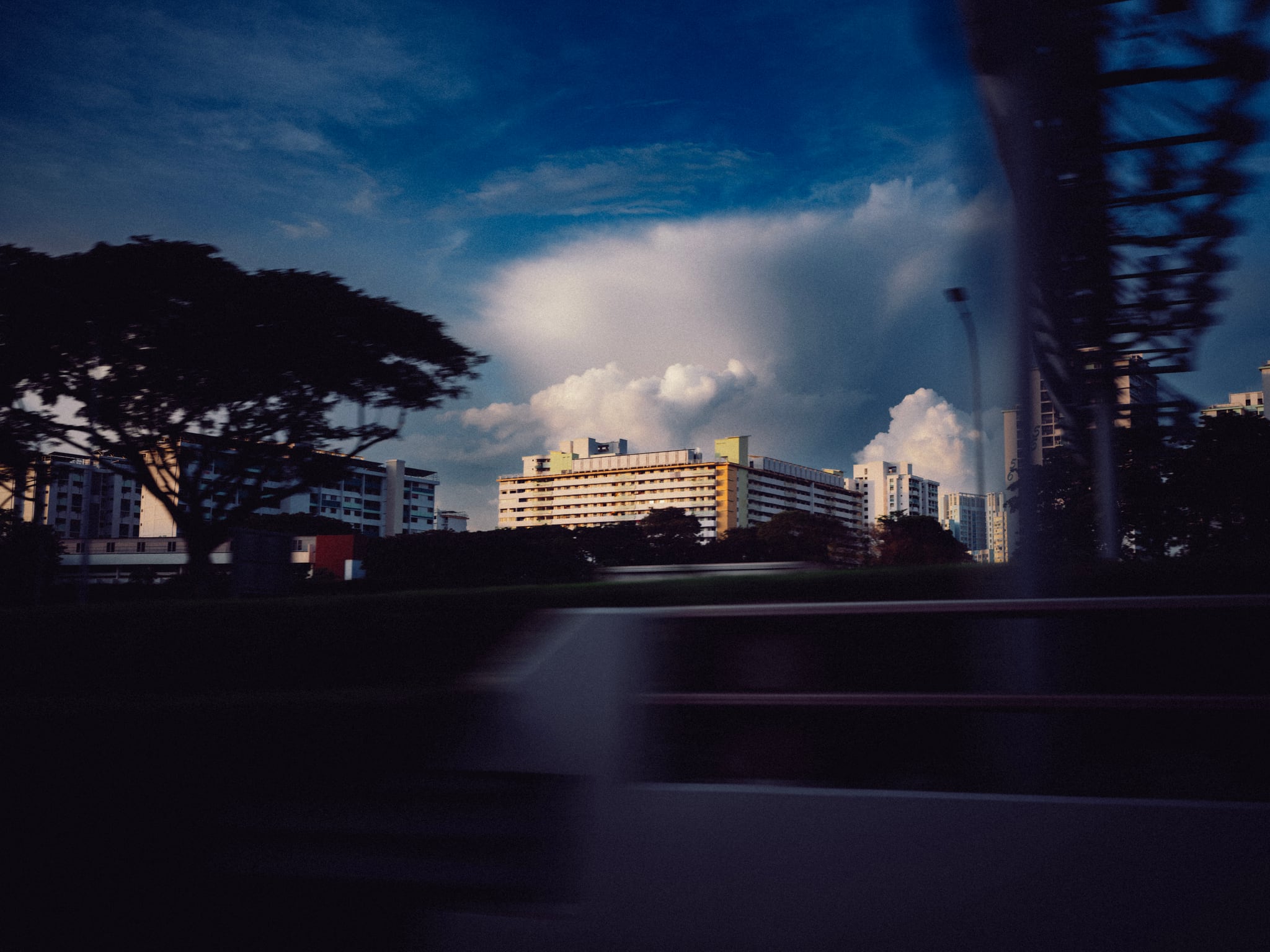 A city building and roadside trees beneath blue-grey storm clouds, seen past a blurred foreground.