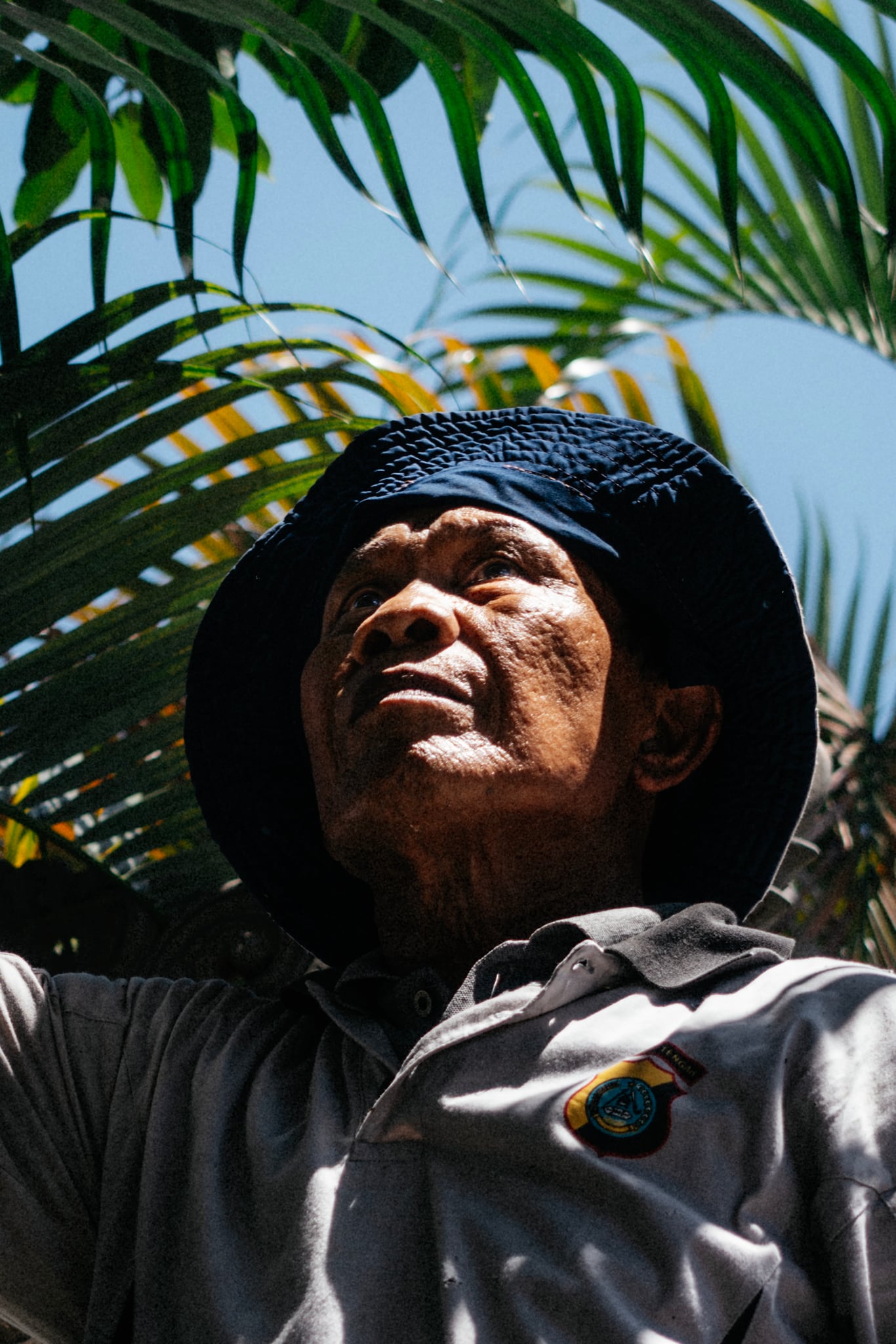 A person wearing a dark hat looks upward beneath sunlit tropical leaves in Bali.