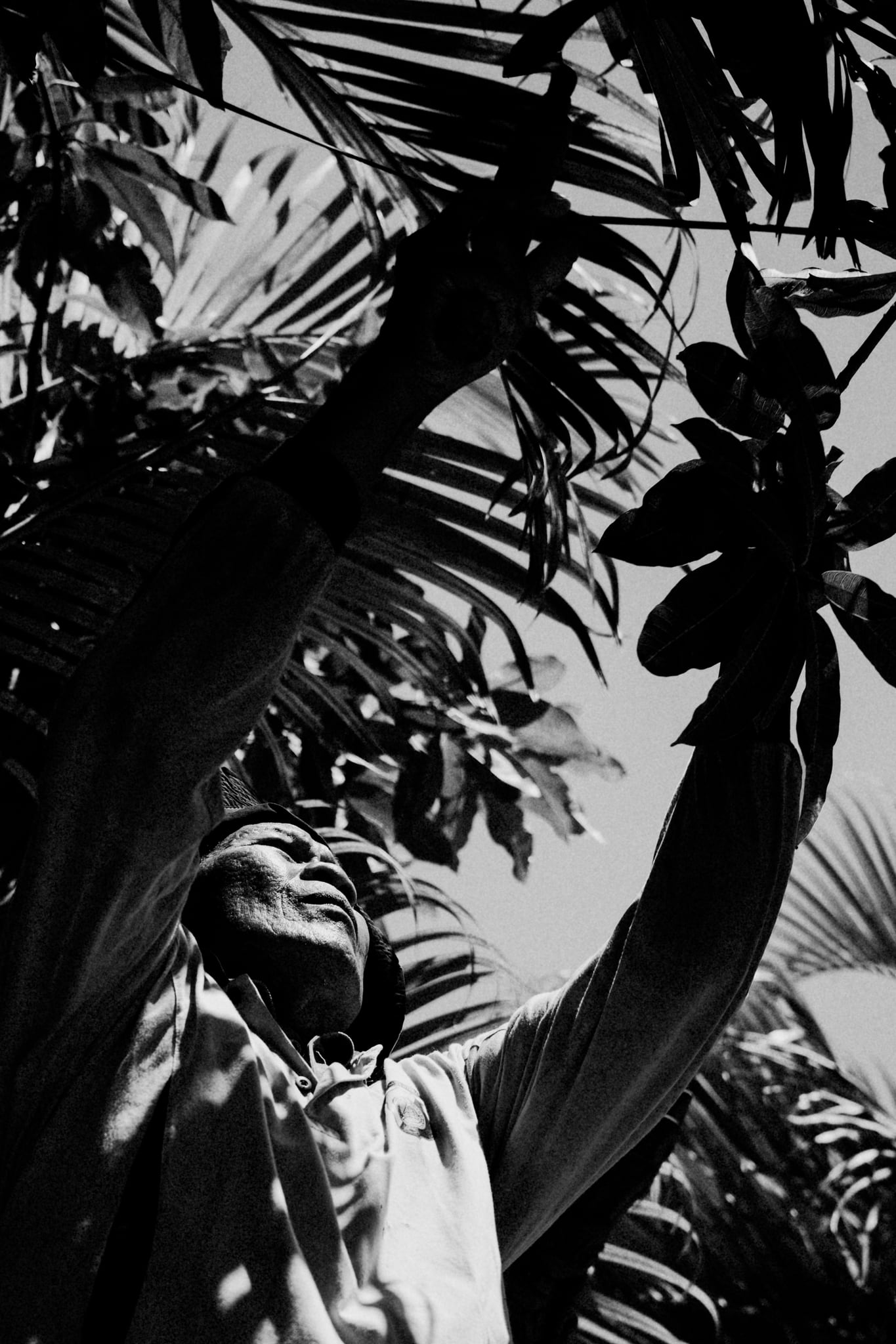 A black-and-white view of a person reaching upward among dense tropical leaves in Bali.