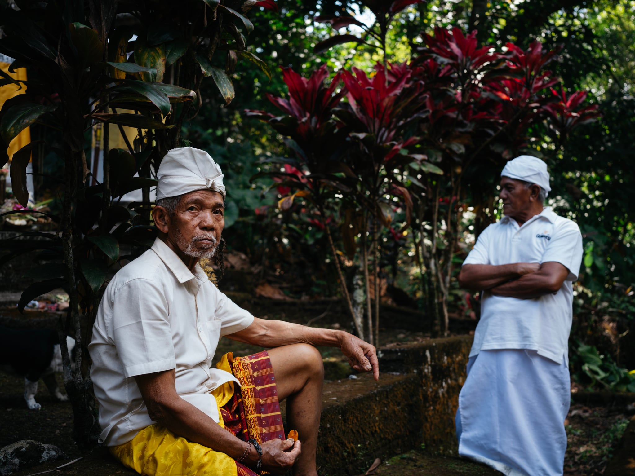 Two people in white clothing and headwear sit and stand among red and green garden plants in Bali.