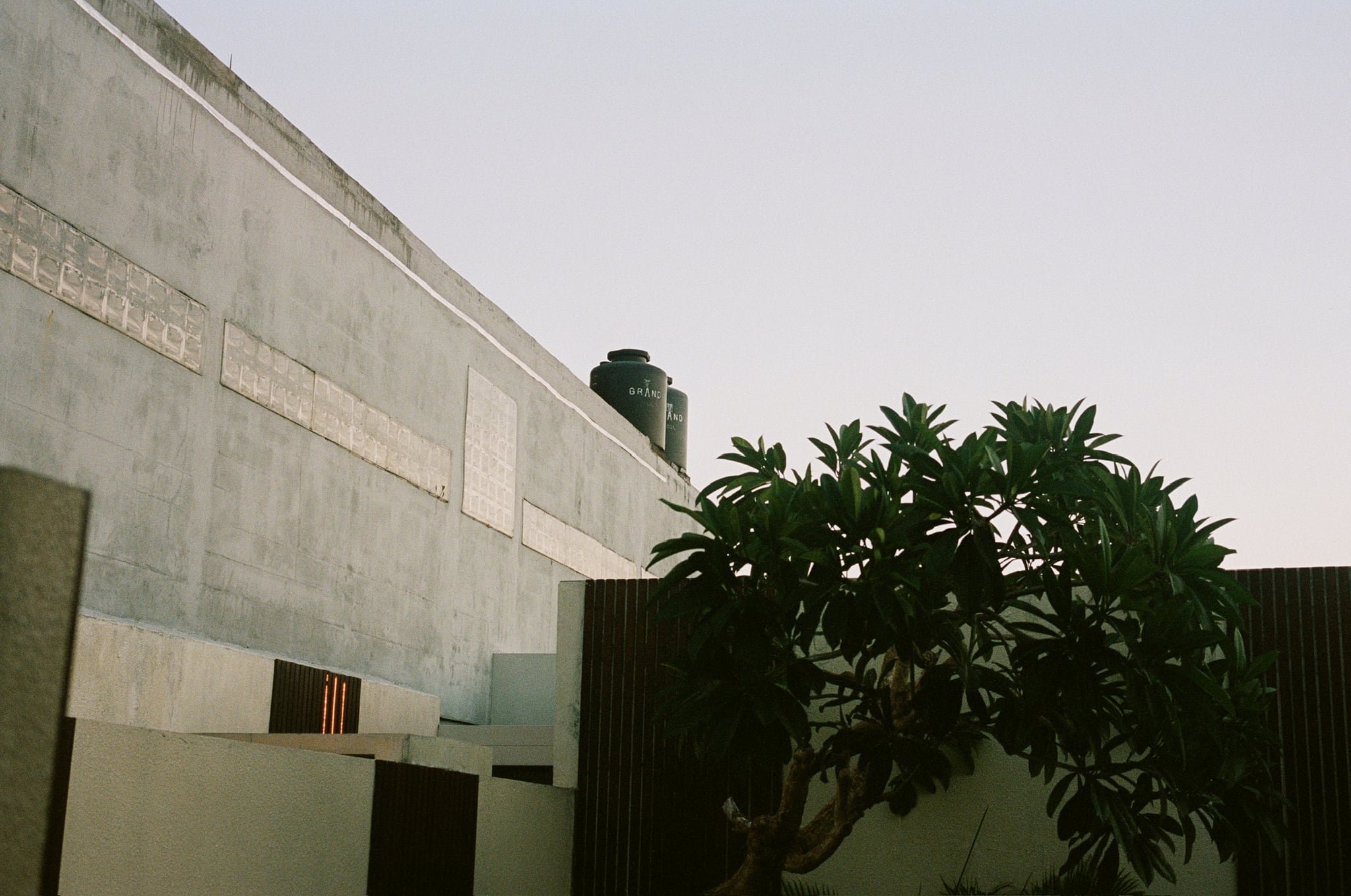 A pale concrete wall and leafy tree meet under a clear sky in strong afternoon light.