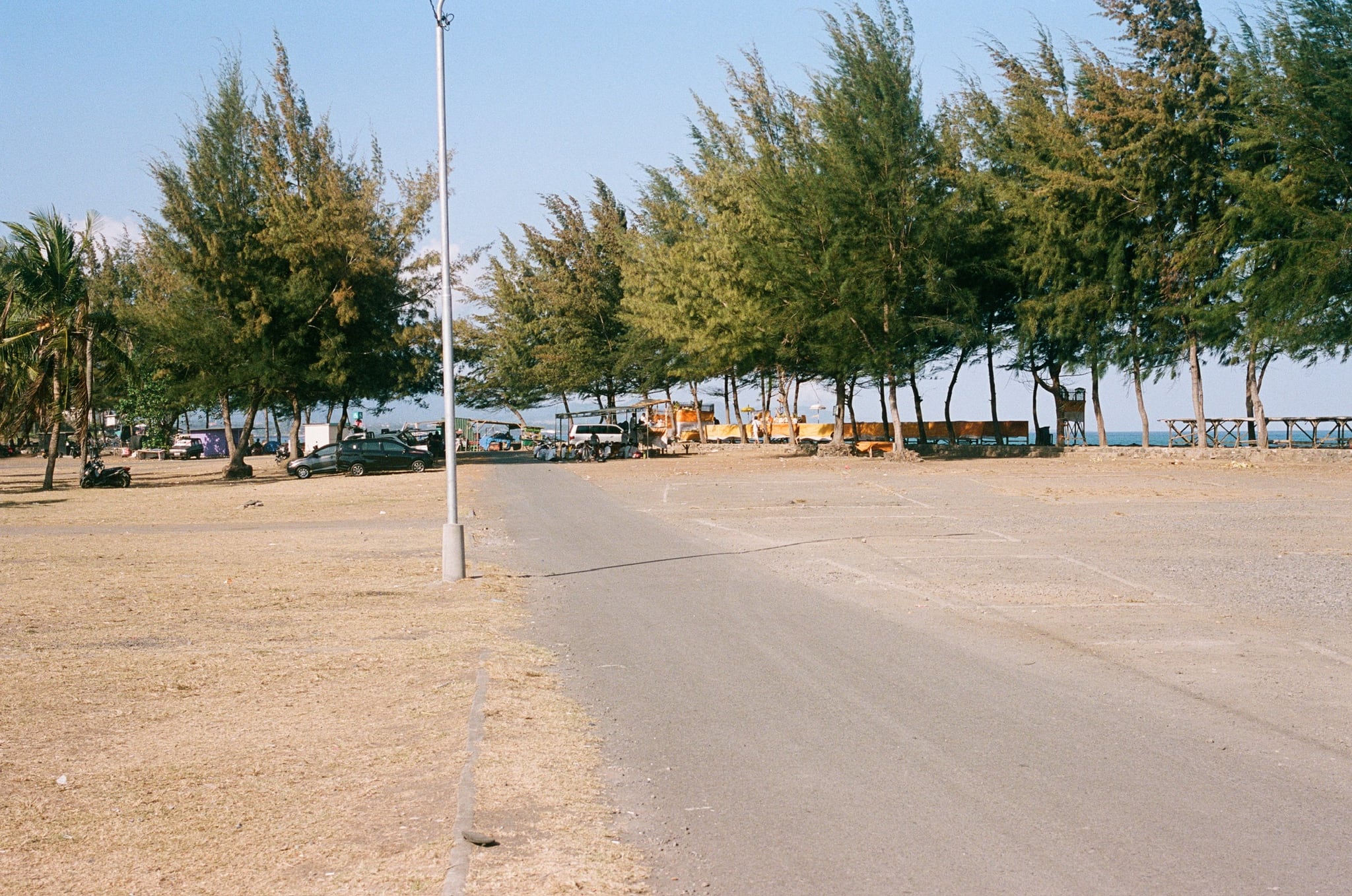 A tall pole stands in an empty paved space with a row of coastal trees beyond.