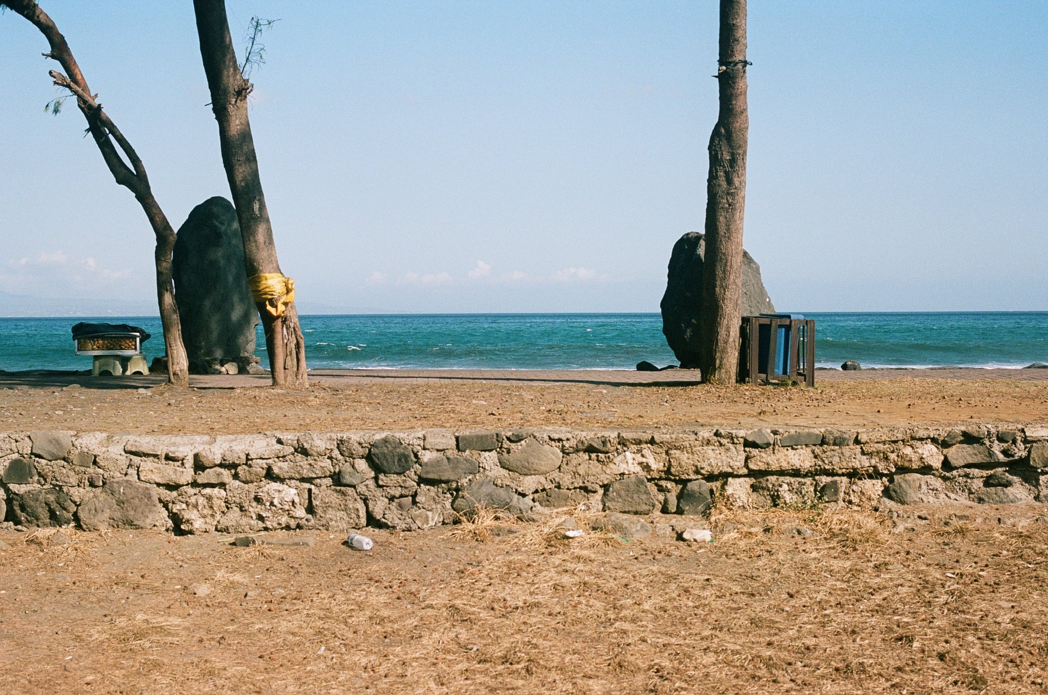 Two tall tree trunks rise above a low stone wall, with blue sea beyond.