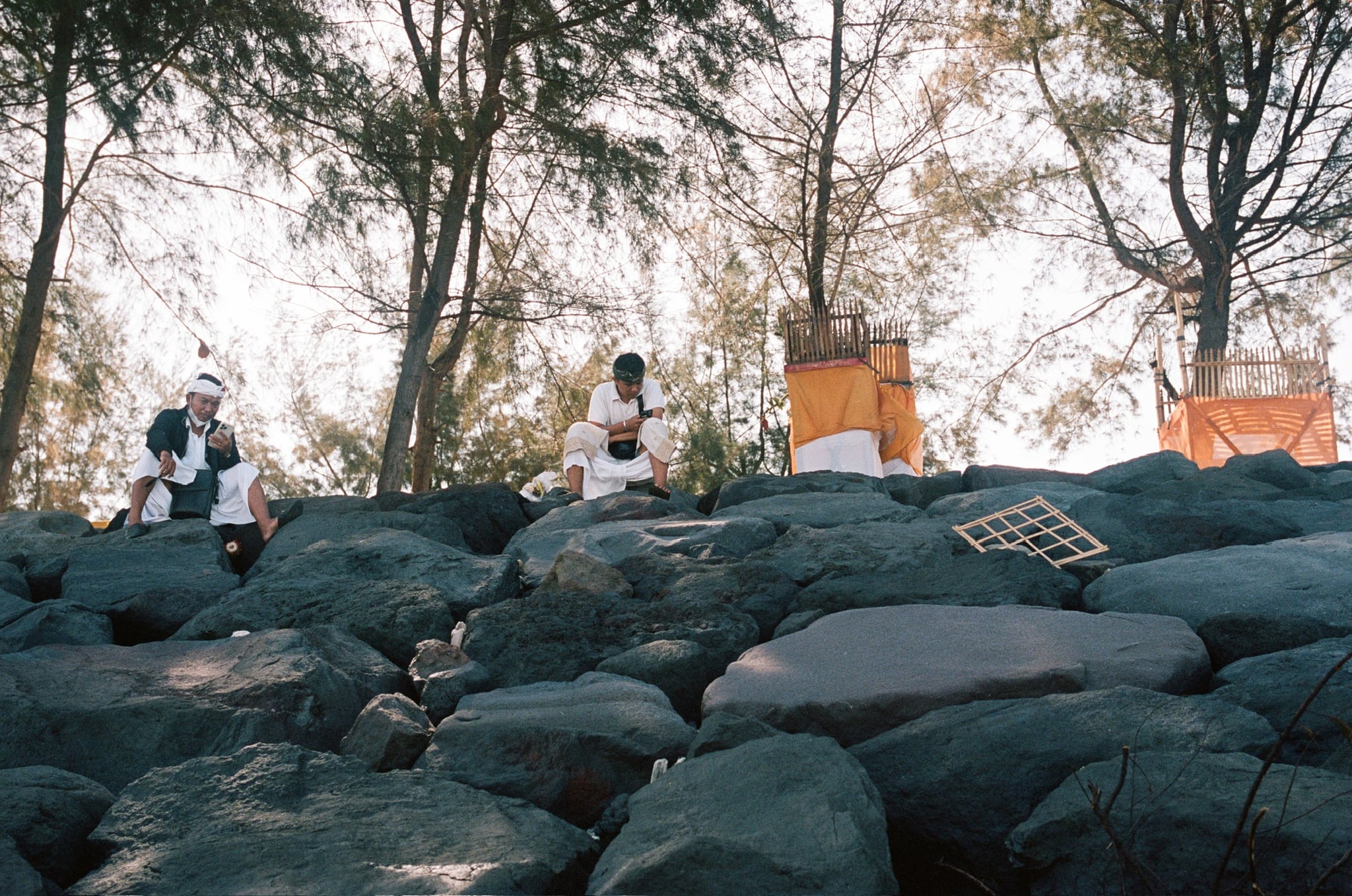 People sit beneath trees above a sloping embankment of large dark stones.