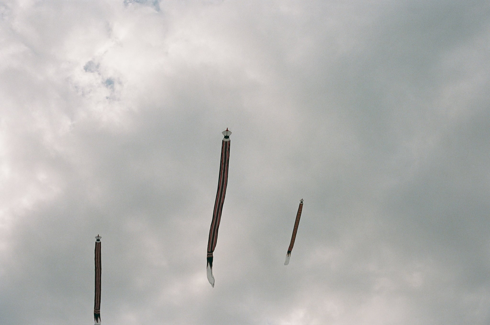 Long dark kite tails rise into a grey, cloud-filled sky.