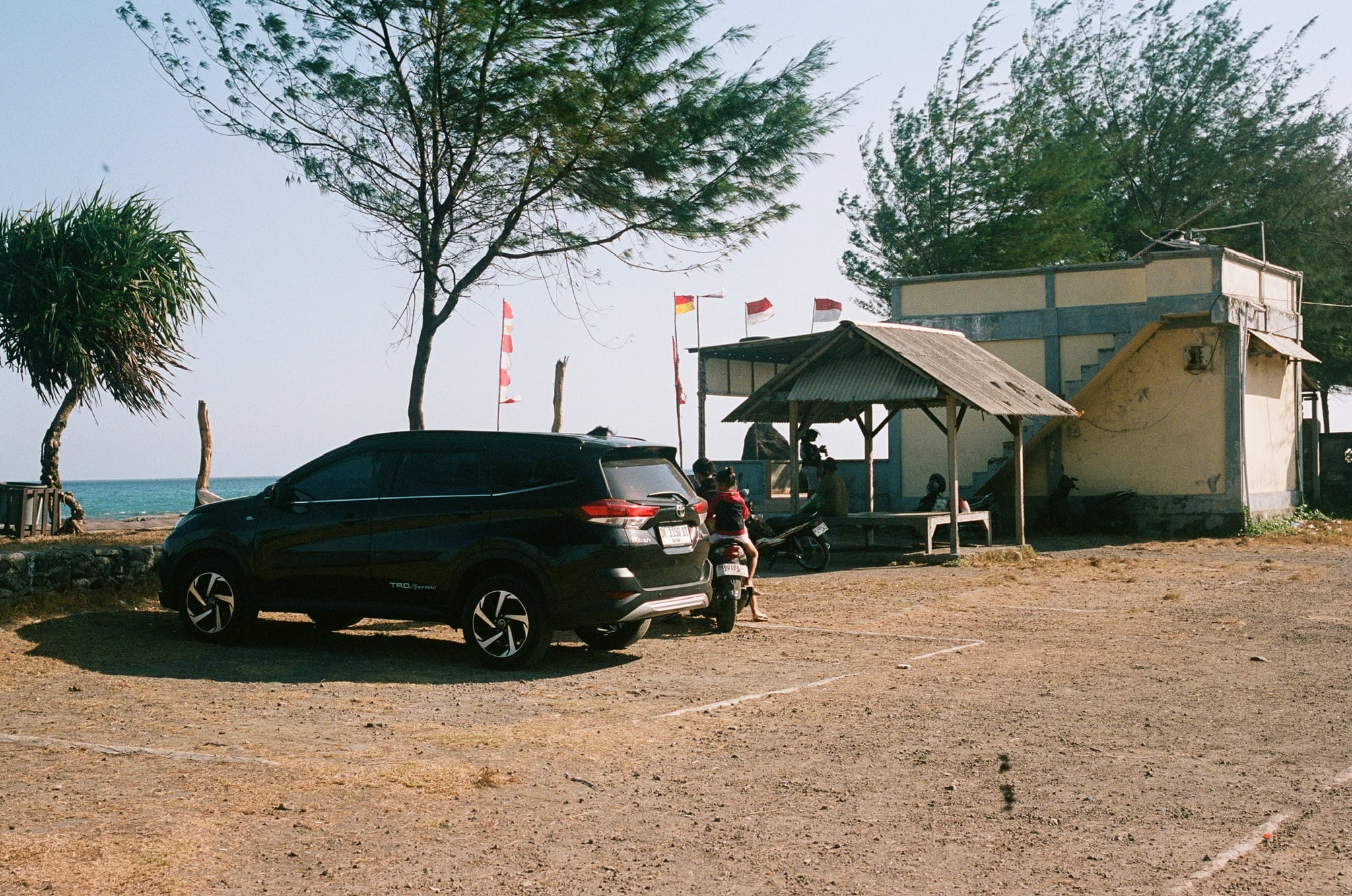 A dark car is parked beneath coastal trees beside a small shelter.