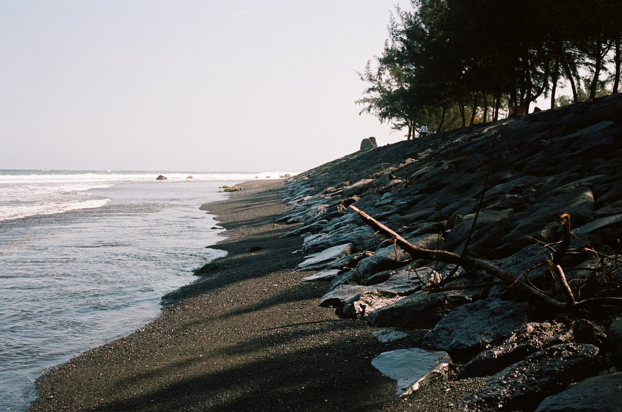 Waves wash against a dark stone sea wall beneath overhanging trees.