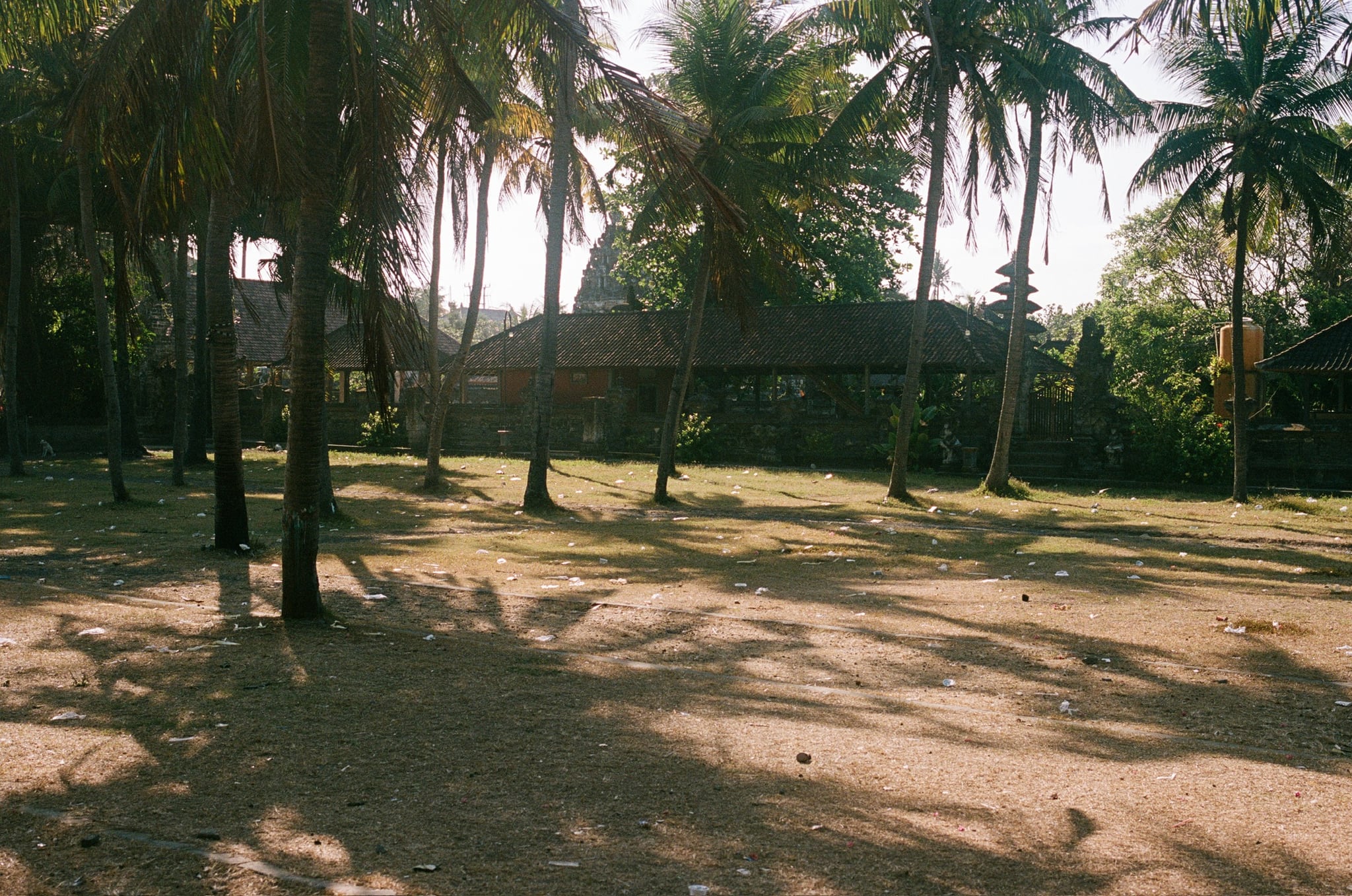 Tall palms cast long shadows across a quiet courtyard with a tiered-roof building beyond.