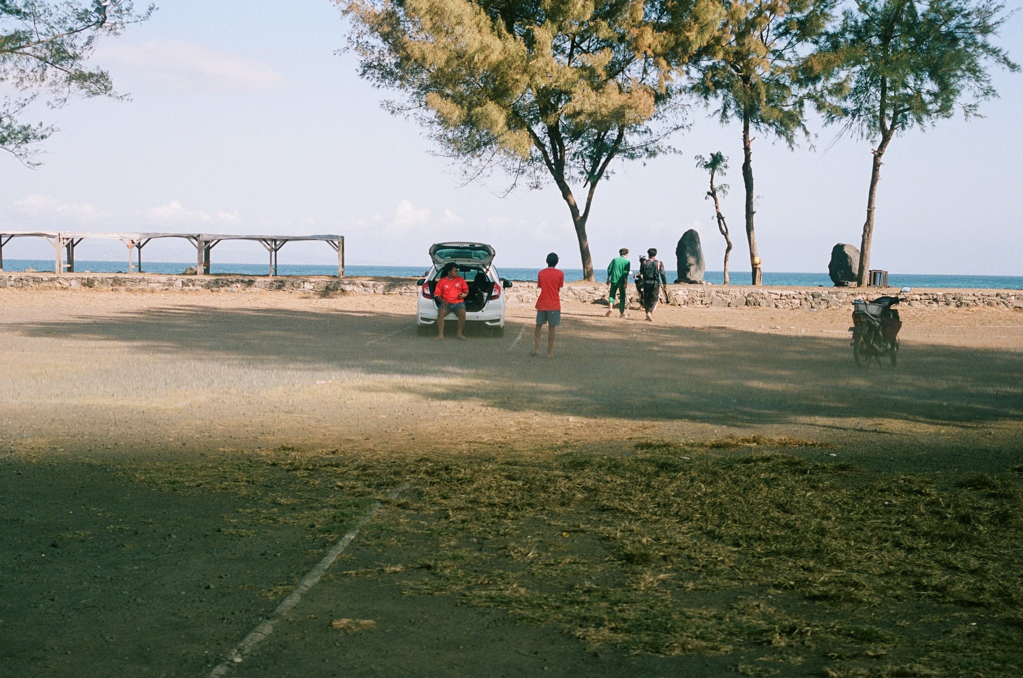 People and a small vehicle gather beneath sparse coastal trees at the edge of an open space.