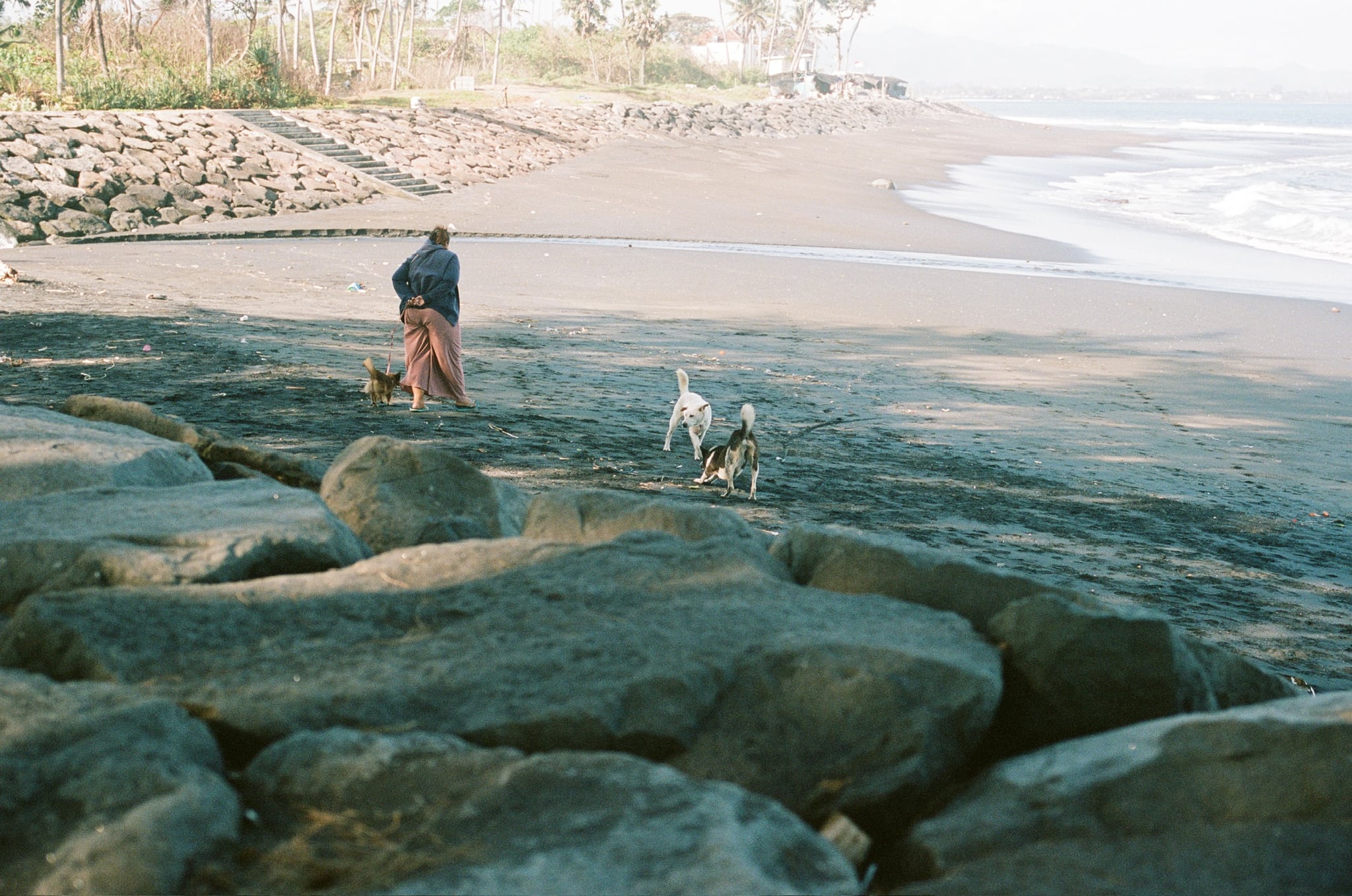 A person and dogs move across large dark rocks beside a sandy beach and white surf.
