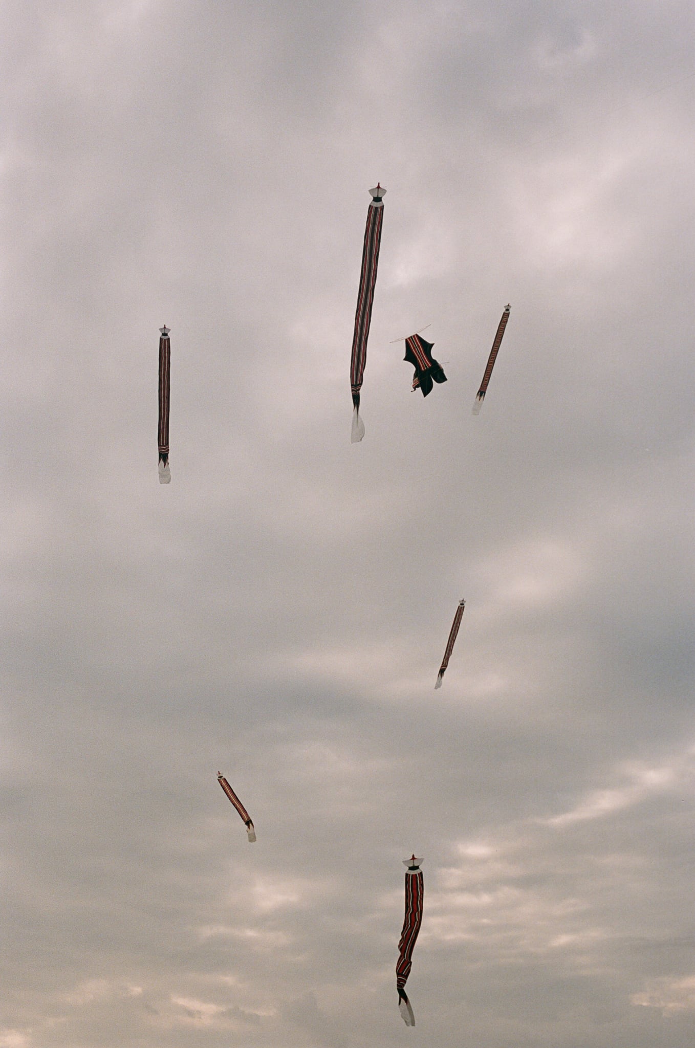 Long kite tails and a small dark kite punctuate a softly clouded sky.