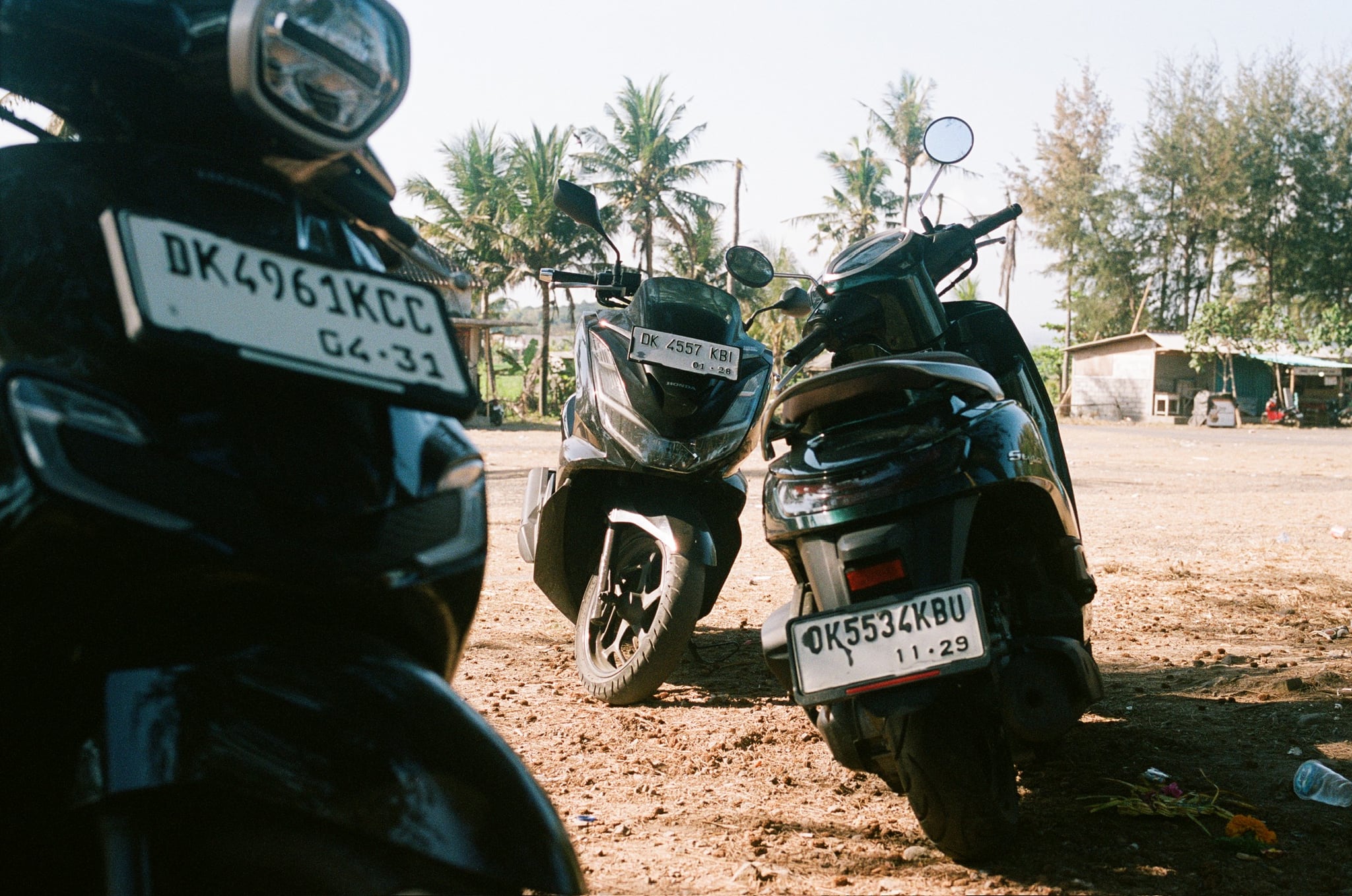 Parked scooters fill the foreground beneath bright light, with palms and open ground behind.